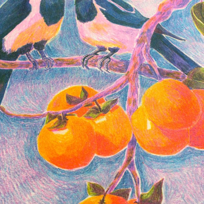 Risographie - les pies